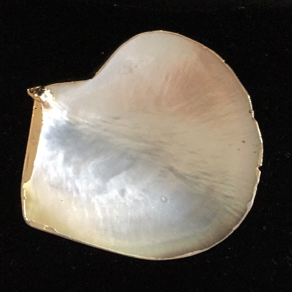 Gold Rimmed SeaShell Brooch/Pendant - Picture 5 of 6